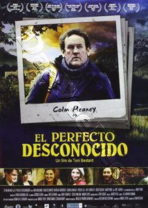 The Perfect Stranger (DVD)